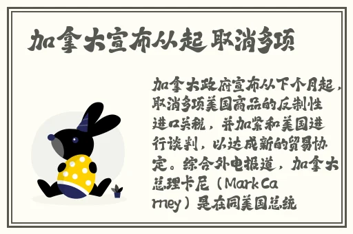 幼儿HIPHOP仙踪林的特点